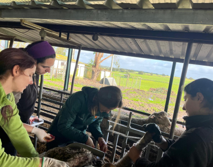 Estágio no Monte da Sancha